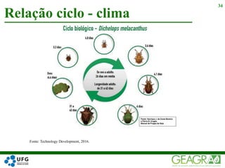 Relação ciclo - clima
34
Fonte: Technology Development, 2016.
 