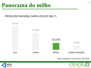 Panorama do milho
4
Dados adaptados: Conab Safra 2019/2020.
352.441
254.000
101.000
64.200
EUA CHINA BRASIL UNIÃO EUROPEIA
PRODUÇÃO MUNDIAL SAFRA 2019/20 (MIL T)
 