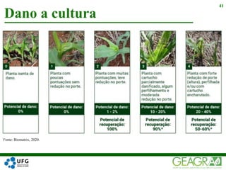 Dano a cultura
41
Fonte: Biomatrix, 2020.
 