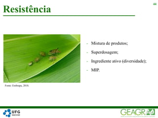 - Mistura de produtos;
- Superdosagem;
- Ingrediente ativo (diversidade);
- MIP.
Resistência
44
Fonte: Embrapa, 2018.
 