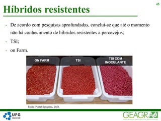 - De acordo com pesquisas aprofundadas, conclui-se que até o momento
não há conhecimento de híbridos resistentes a percevejos;
- TSI;
- on Farm.
Híbridos resistentes
45
Fonte: Portal Syngenta, 2021.
 