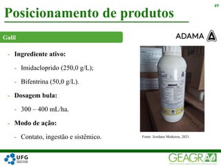 Posicionamento de produtos
49
Fonte: Jiordane Medeiros, 2021.
Galil
- Ingrediente ativo:
- Imidacloprido (250,0 g/L);
- Bifentrina (50,0 g/L).
- Dosagem bula:
- 300 – 400 mL/ha.
- Modo de ação:
- Contato, ingestão e sistêmico.
 