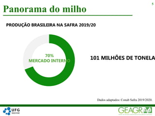 Panorama do milho
5
PRODUÇÃO BRASILEIRA NA SAFRA 2019/20
101 MILHÕES DE TONELA
70%
MERCADO INTERNO
Dados adaptados: Conab Safra 2019/2020.
 