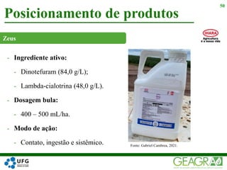- Ingrediente ativo:
- Dinotefuram (84,0 g/L);
- Lambda-cialotrina (48,0 g/L).
- Dosagem bula:
- 400 – 500 mL/ha.
- Modo de ação:
- Contato, ingestão e sistêmico.
Posicionamento de produtos
50
Fonte: Gabriel Cambrea, 2021.
Zeus
 