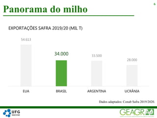Panorama do milho
6
Dados adaptados: Conab Safra 2019/2020.
54.613
34.000 33.500
28.000
EUA BRASIL ARGENTINA UCRÂNIA
EXPORTAÇÕES SAFRA 2019/20 (MIL T)
 
