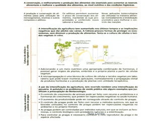 Teste De Biologia