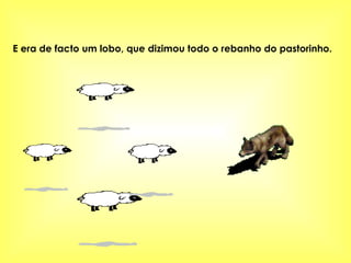 E era de facto um lobo, que dizimou todo o rebanho do pastorinho. 