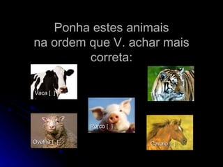 Ponha estes animais na ordem que V. achar mais correta: Vaca [  ]   Cavalo [  ]   Ovelha [  ]   Porco [  ]   Tigre [  ]   