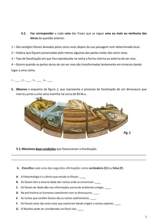 4.2. Faz corresponder a cada uma das frases que se segue uma ou mais ou nenhuma das 
letras da questão anterior. 
1 – São vestígios fósseis deixados pelos seres vivos depois da sua passagem num determinado local. 
2 – Implica que fiquem preservadas pelo menos algumas das partes moles dos seres vivos. 
3 – Tipo de fossilização em que fica reproduzida na rocha a forma interna ou externa do ser vivo. 
4 – Ocorre quando as partes duras de um ser vivo são transformadas lentamente em minerais dando 
lugar a uma rocha. 
1 - ____ ; 2 - ____ ; 3 - ____ ; 4 - ____ 
5. Observa o esquema da figura 2, que representa o processo de fossilização de um dinossauro que 
morreu junto a uma zona marinha há cerca de 83 M.a.. 
5.1.Menciona duas condições que favoreceram a fossilização. 
_____________________________________________________________________________________ 
_____________________________________________________________________________________ 
6. Classifica cada uma das seguintes afirmações como verdadeira (V) ou falsa (F). 
A. A Paleontologia é a ciência que estuda os fósseis. ____ 
B. Os fósseis têm a mesma idade das rochas onde se encontram. ____ 
C. Os fósseis de idade dão-nos informações acerca de ambientes antigos. ____ 
D. Na pré-história os humanos coexistiram com os dinossauros. ____ 
E. As rochas que contêm fósseis são as rochas sedimentares. ____ 
F. Os fósseis vivos são seres vivos que evoluíram dando origem a outras espécies. ____ 
G. O Náutilos pode ser considerado um fóssil vivo. ____ 
3 
Fig. 2 
 