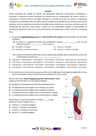 151865 - AGRUPAMENTO DE ESCOLAS GENERAL SERPA PINTO - CINFÃES
Página 8
Grupo III
Sendo constituído por milhões de células, que apresentam diferentes características morfológicas e
funcionais, o organismo humano apresenta um elevado grau de complexidade. De modo a manter a
homeostasia, os vários sistemas de órgãos interagem no sentido de fornecer às células as substâncias
necessárias à sua atividade, bem como delas retirar as substâncias que podem tornar-se tóxicas, entre outros
exemplos. Entre as substâncias necessárias à atividade celular contam-se os nutrientes, que fazem parte da
constituição dos alimentos. Deste modo, a prática de uma alimentação saudável é imprescindível ao
equilíbrio do organismo e deve ter em conta vários fatores, nomeadamente, a idade, o género ou a atividade
física.
1. De 1.1 a 1.2, responde apenas a um item, selecionando a única opção que permite obter uma afirmação
verdadeira.
1.1. As células e o organismo humano são considerados sistemas ______________, uma vez que
efetuam trocas de ______________ com o exterior.
A. fechados (...) energia
B. fechados (...) matéria e energia
C. abertos (...) energia
D. abertos (...) matéria e energia
1.2. O organismo apresenta diferentes níveis de organização biológica que, de acordo com um grau de
complexidade crescente, são __________________________.
A. organismo – nível sistémico – nível orgânico – nível tecidual – nível celular – nível molecular- nível atómico
B. nível celular – nível tecidual – nível orgânico – nível sistémico – organismo – nível molecular – nível atómico
C. nível atómico – nível molecular – nível celular – nível tecidual – nível orgânico – nível sistémico – organismo.
D. nível atómico – nível molecular – organismo – nível sistémico – nível orgânico – nível tecidual – nível celular.
2. No corpo humano, encontramos espaços que têm como função separar e proteger os órgãos além de lhes
darem sustentação. A figura 9 representa cinco cavidades do corpo humano.
Nos itens 2.1 e 2.2, responde apenas a um dele, selecionando a única
opção que permite obter uma afirmação verdadeira.
2.1. Na figura 9, a cavidade pélvica está representada pela letra...
A. D e podemos encontrar órgãos como a bexiga e os ovários.
B. E e podemos encontrar órgãos como a bexiga e os ovários.
C. D e podemos encontrar órgãos como a vesícula biliar e o fígado.
D. E e podemos encontrar órgãos como a vesícula biliar e o fígado.
2.2. Na figura 9, a letra B representa a cavidade _____ e, nela
podemos encontrar órgãos como ____.
A. torácica (…) a medula e gânglios.
B. espinal (…) a bexiga e os testículos.
C. torácica (…) a bexiga e os testículos.
D. espinal (…) a medula e gânglios.
Figura 9
 