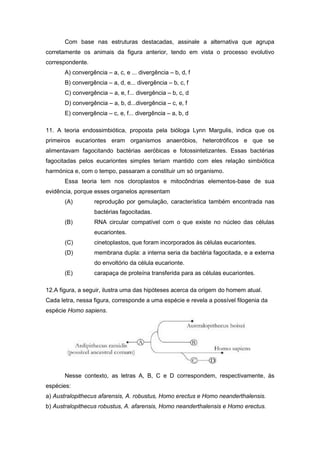 Com base nas estruturas destacadas, assinale a alternativa que agrupa corretamente os animais da figura anterior, tendo em vista o processo evolutivo correspondente. 
A) convergência – a, c, e ... divergência – b, d, f 
B) convergência – a, d, e... divergência – b, c, f 
C) convergência – a, e, f... divergência – b, c, d 
D) convergência – a, b, d...divergência – c, e, f 
E) convergência – c, e, f... divergência – a, b, d 
11. A teoria endossimbiótica, proposta pela bióloga Lynn Margulis, indica que os primeiros eucariontes eram organismos anaeróbios, heterotróficos e que se alimentavam fagocitando bactérias aeróbicas e fotossintetizantes. Essas bactérias fagocitadas pelos eucariontes simples teriam mantido com eles relação simbiótica harmónica e, com o tempo, passaram a constituir um só organismo. 
Essa teoria tem nos cloroplastos e mitocôndrias elementos-base de sua evidência, porque esses organelos apresentam 
(A) reprodução por gemulação, característica também encontrada nas bactérias fagocitadas. 
(B) RNA circular compatível com o que existe no núcleo das células eucariontes. 
(C) cinetoplastos, que foram incorporados às células eucariontes. 
(D) membrana dupla: a interna seria da bactéria fagocitada, e a externa do envoltório da célula eucarionte. 
(E) carapaça de proteína transferida para as células eucariontes. 
12.A figura, a seguir, ilustra uma das hipóteses acerca da origem do homem atual. Cada letra, nessa figura, corresponde a uma espécie e revela a possível filogenia da espécie Homo sapiens. 
Nesse contexto, as letras A, B, C e D correspondem, respectivamente, às espécies: 
a) Australopithecus afarensis, A. robustus, Homo erectus e Homo neanderthalensis. 
b) Australopithecus robustus, A. afarensis, Homo neanderthalensis e Homo erectus.  