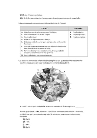 (H) O pão é rico emproteínas.
(I) A deficiênciaemvitaminaKlevaaoaparecimentode problemasde coagulação.
3. Faz corresponderosnúmerosdaColunaIIàs letrasda ColunaI.
COLUNA I COLUNA II
A. Ativação e coordenação de processos biológicos.
B. Construção de células,tecidos eórgãos.
C. Respiração celular.
D. Proteção do organismo contra doenças.
E. Síntese de moléculas para repararcomponentes celulares não
funcionais.
F. Consumo para as atividadesvitais,composterior libertação de
água,de dióxido de carbono e de calor.
G. Participação emprocessos detransporte, de coagulação do
sangue ou de controlo de reações químicas.
H. Construção de estruturas como os dentes.
1. Função plástica.
2. Função reguladora.
3. Função energética.
4. A roda dos alimentosé uma representaçãográficaque ajudaaescolhere a combinar
os alimentosque devemfazerparte de umaalimentaçãosaudável.
4.1 Indica a letra que corresponde ao setor dos alimentos ricos em glícidos. ___________
Para as questões 4.2 e 4.4, selecionaaopçãoque completacorretamente aafirmação.
4.2 Asletrasque correspondemagruposde alimentosgeralmente muitoricosem
fibrassão
(A) C e D.
(B) F e G.
(C) A e E.
(D) B e D.
A
B
C
D
E
F
G
 