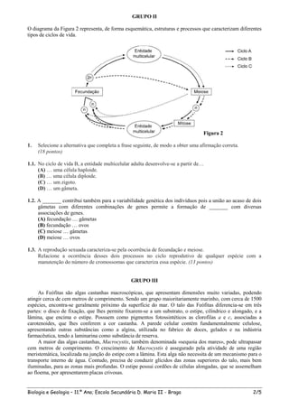 GRUPO II

O diagrama da Figura 2 representa, de forma esquemática, estruturas e processos que caracterizam diferentes
tipos de ciclos de vida.




                                                                                 Figura 2

1.   Selecione a alternativa que completa a frase seguinte, de modo a obter uma afirmação correta.
     (18 pontos)

1.1. No ciclo de vida B, a entidade multicelular adulta desenvolve-se a partir de…
     (A) … uma célula haploide.
     (B) … uma célula diploide.
     (C) … um zigoto.
     (D) … um gâmeta.

1.2. A _______ contribui também para a variabilidade genética dos indivíduos pois a união ao acaso de dois
     gâmetas com diferentes combinações de genes permite a formação de _______ com diversas
     associações de genes.
     (A) fecundação … gâmetas
     (B) fecundação … ovos
     (C) meiose … gâmetas
     (D) meiose … ovos

1.3. A reprodução sexuada caracteriza-se pela ocorrência de fecundação e meiose.
     Relacione a ocorrência desses dois processos no ciclo reprodutivo de qualquer espécie com a
     manutenção do número de cromossomas que caracteriza essa espécie. (13 pontos)


                                                GRUPO III

     As Feófitas são algas castanhas macroscópicas, que apresentam dimensões muito variadas, podendo
atingir cerca de cem metros de comprimento. Sendo um grupo maioritariamente marinho, com cerca de 1500
espécies, encontra-se geralmente próximo da superfície do mar. O talo das Feófitas diferencia-se em três
partes: o disco de fixação, que lhes permite fixarem-se a um substrato, o estipe, cilíndrico e alongado, e a
lâmina, que encima o estipe. Possuem como pigmentos fotossintéticos as clorofilas a e c, associadas a
carotenoides, que lhes conferem a cor castanha. A parede celular contém fundamentalmente celulose,
apresentando outras substâncias como a algina, utilizada no fabrico de doces, gelados e na indústria
farmacêutica, tendo a laminarina como substância de reserva.
     A maior das algas castanhas, Macrocystis, também denominada «sequoia dos mares», pode ultrapassar
cem metros de comprimento. O crescimento de Macrocystis é assegurado pela atividade de uma região
meristemática, localizada na junção do estipe com a lâmina. Esta alga não necessita de um mecanismo para o
transporte interno de água. Contudo, precisa de conduzir glícidos das zonas superiores do talo, mais bem
iluminadas, para as zonas mais profundas. O estipe possui cordões de células alongadas, que se assemelham
ao floema, por apresentarem placas crivosas.


Biologia e Geologia – 11.º Ano; Escola Secundária D. Maria II - Braga                                   2/5
 