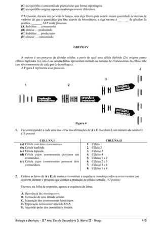 (C) o esporófito é uma entidade pluricelular que forma esporângios.
     (D) o esporófito origina esporos morfologicamente diferentes.

     2.5. Quando, durante um período de tempo, uma alga liberta para o meio maior quantidade de átomos de
     carbono do que a quantidade que fixa através da fotossíntese, a alga recorre à _______ de glícidos de
     reserva, _______ ATP neste processo.
     (A) hidrólise … consumindo
     (B) síntese … produzindo
     (C) hidrólise … produzindo
     (D) síntese … consumindo


                                                 GRUPO IV


     A meiose é um processo de divisão celular, a partir do qual uma célula diploide (2n) origina quatro
células haploides (n), isto é, as células-filhas apresentam metade do número de cromossomas da célula mãe
(um só cromossoma de cada par de homólogos).
     A Figura 4 representa esse processo.




                                                   Figura 4

1.   Faz corresponder a cada uma das letras das afirmações de A a E da coluna I, um número da coluna II.
     (13 pontos)

                     COLUNA I                                                  COLUNA II
     (a) Célula com dois cromossomas.                         1.   Célula 1
     (b) Célula haploide.                                     2.   Célula 2
     (c) Célula diploide.                                     3.   Células 3
     (d) Célula cujos cromossomas possuem um                  4.   Células 4
         cromatídeo.                                          5.   Células 1 e 2
     (e) Célula cujos cromossomas possuem dois                6.   Células 2 e 3
         cromatídeos.                                         7.   Células 3 e 4
                                                              8.   Células 1 e 4

2.   Ordene as letras de A a E, de modo a reconstituir a sequência cronológica dos acontecimentos que
     ocorrem durante o processo que conduz à produção de células sexuais. (13 pontos)

     Escreva, na folha de respostas, apenas a sequência de letras.

     A. Ocorrência de crossing-over.
     B. Formação de uma tétrada celular.
     C. Separação dos cromossomas homólogos.
     D. Replicação semiconservativa do DNA.
     E. Ascensão polar dos cromatídeos irmãos.



Biologia e Geologia – 11.º Ano; Escola Secundária D. Maria II - Braga                                   4/5
 