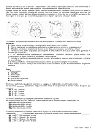 genéticas do indivíduo que os produziu - tal processo é uma forma de reprodução assexuada bem comum entre os
animais, e ocorre até em animais mais complexos, como alguns lagartos, peixes e anfíbios.
A grande maioria dos animais e plantas, porém, reproduz-se sexuadamente, misturando genes do pai com genes da
mãe. Para que a reprodução sexuada seja possível, machos e fêmeas (ou estruturas masculinas e femininas, nas
plantas) precisam produzir gâmetas (células reprodutivas, masculinas ou femininas) que em geral têm apenas uma das
duas cópias de cada gene que esses indivíduos possuem. A figura 1 representa células em divisão.
1. Estabeleça a correspondência entre cada um das afirmações com o processo mais adequado da chave.
Afirmações
A – “basta enterrar um pedaço de um ramo de roseira para obter um novo indivíduo.”
B – “Outros organismos, como a planária, podem gerar novos organismos através de pedaços do corpo”
C – “Micróbios unicelulares simplesmente dividem-se em dois, por um processo semelhante à mitose”
D – “muitos insectos, como os pulgões, passam parte do ano produzindo ovos que geram cópias genéticas do
indivíduo que os produziu”
E – “As anémonas-do-mar multiplicam-se frequentemente, produzindo pequenos gomos laterais, que,
posteriormente, se podem destacar ou ficar ligados à anémona-mãe.”
F – No bolor do pão formam-se esporângios que permitem a formação de esporos, cada um dos quais irá originar
um novo indivíduo.
G- O morangueiro forma estruturas denominadas de estolhos que permitem originar novas plantas.
H- Nas abelhas ocorre a formação de novos indivíduos exclusivamente a partir do desenvolvimento de gâmetas
femininos.
Chave
I – Fragmentação
II – Bipartição
III – Esporulação
IV – Gemulação
V – Multiplicação vegetativa
VI – Partenogénese
2. Selecione a alternativa que permite preencher os espaços, de modo a obter uma afirmação correta.
Os esquemas ________ representam, inequivocamente, fases de um processo de divisão nuclear designado por
________.
(A) A e B […] meiose
(B) A e B […] mitose
(C) B e D […] mitose
(D) B e D […] meiose
3. Selecione a alternativa que completa corretamente a afirmação seguinte:
A subfase da mitose em que a membrana nuclear desaparece e os centríolos migram para os pólos é a:
(A) profase das células vegetais.
(B) anafase das células animais.
(C) anafase das células vegetais.
(D) profase das células animais.
4. Selecione a alternativa que permite preencher os espaços, de modo a obter uma afirmação correta.
Os esquemas________foram realizados a partir de fotografias de microscopia de células, respectivamente, ________.
(A) A e D […] das gónadas e da pele
(B) A e D […] da pele e das gónadas
(C) A e C […] da pele e das gónadas
(D) A e C […] das gónodas e da pele
Teste Teórico – Página 3
Figura 1
 
