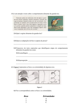 3-Lê com atenção o texto sobre o comportamento alimentar do guarda-rios.
3.1-Qual o regime alimentar do guarda-rios?
___________________________________________________________________
3.2-Quais as adaptações do bico à captura de presas?
___________________________________________________________________
3.3-Transcreve do texto expressões que identifiquem etapas do comportamento
alimentar do guarda-rios como:
3.3.1-camuflagem. _________________________________________________
________________________________________________________________
3.3.2-perseguição. _________________________________________________
________________________________________________________________
4-A figura 2 representa os bicos e as extremidades de algumas aves.
Figura 2
4.1-Faz a correspondência entre os bicos e as extremidades.
Bicos Extremidades
1 ·A
2 ·B
3 ·C
 