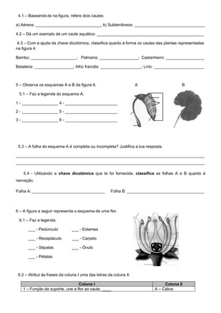 4.1 – Baseando-te na figura, refere dois caules:

a) Aéreos: _____________________________ b) Subterrâneos: _______________________________

4.2 – Dá um exemplo de um caule aquático. _______________________________________________

4.3 – Com a ajuda da chave dicotómica, classifica quanto à forma os caules das plantas representadas
na figura 4.

Bambu: ____________________; Palmeira: _________________; Castanheiro: _________________

Batateira: _________________; Alho francês: __________________; Lírio: ______________________



5 – Observa os esquemas A e B da figura 6.                          A                   B

 5.1 – Faz a legenda do esquema A.

1 - ________________ 4 - _______________________

2 - ________________ 5 - _______________________

3 - ________________ 6 - _______________________




 5.3 – A folha do esquema A é completa ou incompleta? Justifica a tua resposta.

___________________________________________________________________________________
___________________________________________________________________________________

    5.4 - Utilizando a chave dicotómica que te foi fornecida, classifica as folhas A e B quanto à
nervação.

Folha A: ________________________________            Folha B: __________________________________



6 – A figura a seguir representa o esquema de uma flor.

 6.1 – Faz a legenda.

      ___ - Pedúnculo          ___ - Estames

      ___ - Receptáculo        ___ - Carpelo

      ___ - Sépalas            ___ - Óvulo

      ___ - Pétalas



 6.2 – Atribui às frases da coluna I uma das letras da coluna II.

                                 Coluna I                                      Coluna II
   1 – Função de suporte, une a flor ao caule. ____                       A – Cálice
 