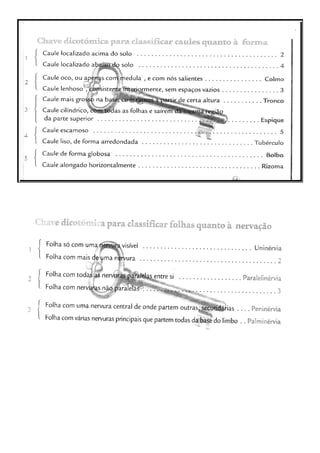 Teste5º plantas com flor