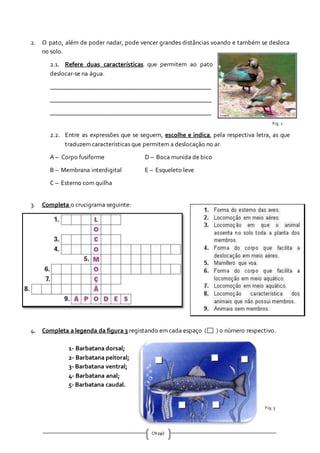 CN pg2
2. O pato, além de poder nadar, pode vencer grandes distâncias voando e também se desloca
no solo.
2.1. Refere duas características que permitem ao pato
deslocar-se na água.
__________________________________________________
__________________________________________________
__________________________________________________
Fig. 2
2.2. Entre as expressões que se seguem, escolhe e indica, pela respectiva letra, as que
traduzem características que permitem a deslocação no ar.
A – Corpo fusiforme D – Boca munida de bico
B – Membrana interdigital E – Esqueleto leve
C – Esterno com quilha
3. Completa o crucigrama seguinte:
4. Completa a legenda da figura 3 registando em cada espaço ( ) o número respectivo.
1- Barbatana dorsal;
2- Barbatana peitoral;
3- Barbatana ventral;
4- Barbatana anal;
5- Barbatana caudal.
Fig. 3
 