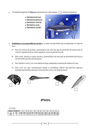 CN pg4
4. Completa a legenda da figura 4 registando em cada espaço ) o número respectivo.
1- Barbatana dorsal;
2- Barbatana peitoral;
3- Barbatana ventral;
4- Barbatana anal;
5- Barbatana caudal.
5. Estabelece a correspondência correta e, a cada uma das frases, faz corresponder um tipo de
bico.
A- Bico em forma de punhal, característico de uma ave que se alimenta de presas que se
movem rapidamente em meio aquático, como os peixes e as rãs.
B- Bico curto, adunco e muito robusto, característico de aves que se alimentam de frutos e
de sementes que têm de descascar.
C- Bico afiado e curto, com uma abertura larga, adaptado à captura de insetos em voo.
D- Bico com um saco membranoso ligado à mandíbula inferior que permite capturar
grandes quantidades de peixe, funcionando como uma rede de pesca.
COTAÇÕES
Grupo I Grupo II
1 2.1. 2.2. 2.3. 3 4 5.1. 5.2. 6 7.1. 7.2. 8 9 10 11
12,5 5 5 5 6 5 5 5 4 2,5 2,5 7,5 3 12 20
 