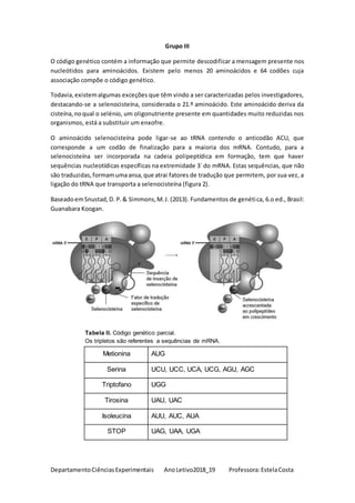 DepartamentoCiênciasExperimentais AnoLetivo2018_19 Professora:EstelaCosta
Grupo III
O código genético contém a informação que permite descodificar a mensagem presente nos
nucleótidos para aminoácidos. Existem pelo menos 20 aminoácidos e 64 codões cuja
associação compõe o código genético.
Todavia,existemalgumas exceções que têm vindo a ser caracterizadas pelos investigadores,
destacando-se a selenocisteína, considerada o 21.º aminoácido. Este aminoácido deriva da
cisteína,noqual o selénio, um oligonutriente presente em quantidades muito reduzidas nos
organismos, está a substituir um enxofre.
O aminoácido selenocisteína pode ligar-se ao tRNA contendo o anticodão ACU, que
corresponde a um codão de finalização para a maioria dos mRNA. Contudo, para a
selenocisteína ser incorporada na cadeia polipeptídica em formação, tem que haver
sequências nucleotídicas específicas na extremidade 3´ do mRNA. Estas sequências, que não
são traduzidas,formamumaansa,que atrai fatores de tradução que permitem, por sua vez, a
ligação do tRNA que transporta a selenocisteína (figura 2).
BaseadoemSnustad,D. P.& Simmons,M.J. (2013). Fundamentos de genética, 6.o ed., Brasil:
Guanabara Koogan.
Tabela II. Código genético parcial.
Os tripletos são referentes a sequências de mRNA.
Metionina AUG
Serina UCU, UCC, UCA, UCG, AGU, AGC
Triptofano UGG
Tirosina UAU, UAC
Isoleucina AUU, AUC, AUA
STOP UAG, UAA, UGA
 