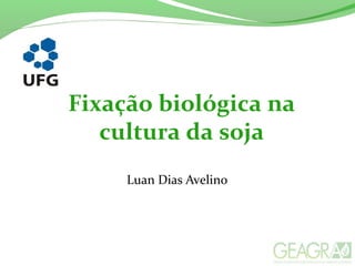 Fixação biológica na
cultura da soja
Luan Dias Avelino
 