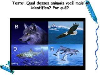 Teste: Qual desses animais você mais seTeste: Qual desses animais você mais se
identifica? Por quê?identifica? Por quê?
 