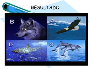 RESULTADORESULTADO
 