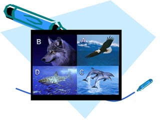 TESTE DE AUTOCONHECIMENTO