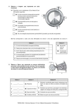 TERRA VIVA • Ciências Naturais • 6.º ano • Material fotocopiável • © Santillana
4. Observa a imagem, que representa um ciclo
menstrual.
4.1 Classifica como verdadeiras (V) ou falsas (F) as
afirmações seguintes.
(A) O ciclo menstrual corresponde ao período
de tempo entre o primeiro dia de uma
menstruação e o último dia da
menstruação seguinte.
(B) O período fértil ocorre uns dias após a
ovulação.
(C) A ovulação ocorre geralmente a meio do
ciclo menstrual.
(D) O ciclo menstrual inclui o ciclo ovárico e o
ciclo uterino.
(E) De uma relação sexual durante o período fértil é provável que resulte uma gravidez.
4.2 Faz corresponder a cada uma das afirmações da coluna I uma das expressões da coluna II.
Coluna I
1. O ciclo menstrual teve a duração de 28 dias.
2. Neste ciclo,esta jovem teve uma menstruação de 3 dias.
3. Ao 9.º dia do ciclo o útero estava preparado para uma
possível gravidez.
4. A menstruação consiste num sangramento resultante da
desestruturação da mucosa uterina.
5. Depois da menstruação,a mucosa do útero tende a espessar.
Coluna II
(A) De acordo
com os
dados
(B) Contrariada
pelos dados
5. Observa a figura, que representa os anexos embrionários
presentes numa gravidez de sete semanas. Faz corresponder
a cada número da legenda da figura, na coluna I, um conceito
da coluna II e uma afirmação da coluna III.
Coluna I Coluna II Coluna III
1. ______ — ______ (A) Placenta
I. Estrutura constituída pelos vasos sanguíneos que
ligam os vasos do feto ao sistema circulatório da
mãe.
2. ______ — ______ (B) Líquido amniótico
II. Estrutura que permite a passagem de nutrientes e
oxigénio do sangue da mãe para o sangue do filho.
3. ______ — ______ (C) Saco amniótico III. Conteúdo do saco amniótico.
4. ______ — ______ (D) Cordão umbilical IV. Bolsa na qual o ser vivo se encontra.
 