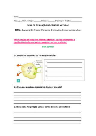 Nome:________________________________________________________________________
Data:__/__/2014 Avaliação:________ Professor:_______ Encarregado de Educa.___________

FICHA DE AVALIAÇÃO DE CIÊNCIAS NATURAIS
TEMA: A respiração Celular; O sistema Reprodutor (feminino/masculino)

NOTA: Deves ler tudo com máxima atenção! Se não entenderes o
significado de alguma palavra pergunta ao teu professor!
BOA SORTE!

1-Completa o esquema da respiração Celular.
1-_______________________________
2-_______________________________
3-_______________________________
4-_______________________________

1.1-Para que precisa o organismo de obter energia?
____________________________________________________________
____________________________________________________________
____________________________________________________________
____________________________________________________________
____________________________________________________________
1.2-Relaciona Respiração Celular com o Sistema Circulatório
____________________________________________________________
____________________________________________________________
____________________________________________________________
____________________________________________________________
____________________________________________________________

 