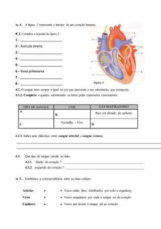  4. A figura 2 representa o interior de um coração humano.
4.3. Que tipo de sangue circula no lado:
4.3.1 direito do coração ? _________________________________________________
4.3.2 esquerdo do coração ? ________________________________________________
 5. Estabelece a correspondência entre as duas colunas.
Artérias   Vasos muito finos distribuídos por todo o organismo
Veias   Vasos sanguíneos por onde o sangue sai do coração
Capilares   Vasos que levam o sangue até ao coração
4.1.Completa a legenda da figura 2.
1 - _______________________
2 – Aurícula direita
3 - _______________________
4 - _______________________
5 - _______________________
6 – Veias pulmonares
7 - _______________________
8 - _______________________
4.2. O sangue nem sempre é igual na cor que apresenta e nas substâncias que transporta.
4.2.2. Completa o quadro, substituindo as letras pelas expressões convenientes.
TIPO DE SANGUE COR GÁS RESPIRATÓRIO
PRESENTEA
B
Rico em dióxido de carbono
C
Vermelho - Vivo
D
4.2.3. Indica uma diferença entre sangue arterial e sangue venoso.
Figura 2
 