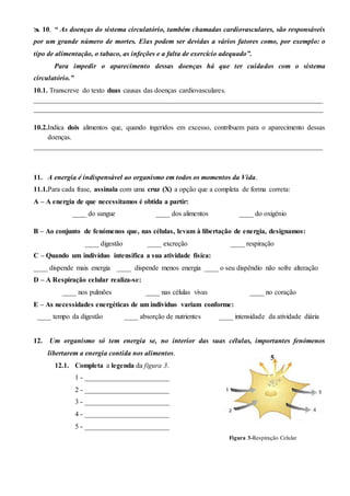  10. “ As doenças do sistema circulatório, também chamadas cardiovasculares, são responsáveis
por um grande número de mortes. Elas podem ser devidas a vários fatores como, por exemplo: o
tipo de alimentação, o tabaco, as infeções e a falta de exercício adequado”.
Para impedir o aparecimento dessas doenças há que ter cuidados com o sistema
circulatório.”
10.1. Transcreve do texto duas causas das doenças cardiovasculares.
__________________________________________________________________________________
__________________________________________________________________________________
10.2.Indica dois alimentos que, quando ingeridos em excesso, contribuem para o aparecimento dessas
doenças.
__________________________________________________________________________________
11. A energia é indispensável ao organismo em todos os momentos da Vida.
11.1.Para cada frase, assinala com uma cruz (X) a opção que a completa de forma correta:
A – A energia de que necessitamos é obtida a partir:
____ do sangue ____ dos alimentos ____ do oxigénio
B – Ao conjunto de fenómenos que, nas células, levam à libertação de energia, designamos:
____ digestão ____ excreção ____ respiração
C – Quando um indivíduo intensifica a sua atividade física:
____ dispende mais energia ____ dispende menos energia ____ o seu dispêndio não sofre alteração
D – A Respiração celular realiza-se:
____ nos pulmões ____ nas células vivas ____ no coração
E – As necessidades energéticas de um indivíduo variam conforme:
____ tempo da digestão ____ absorção de nutrientes ____ intensidade da atividade diária
12. Um organismo só tem energia se, no interior das suas células, importantes fenómenos
libertarem a energia contida nos alimentos.
12.1. Completa a legenda da figura 3.
1 - ________________________
2 - ________________________
3 - ________________________
4 - ________________________
5 - ________________________
Figura 3-Respiração Celular
5
 