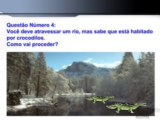 Questão Número 4:
Você deve atravessar um rio, mas sabe que está habitado
por crocodilos.
Como vai proceder?
 