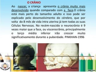O CRÂNIO
Ao nascer, a criança apresenta o crânio muito mais
desenvolvido quando comparado com a face.O crânio
está mais perto do tamanho adulto e isso pode ser
explicado pelo desenvolvimento do cérebro, que por
volta do 8 mês de vida intra uterina já tem todas as suas
Células Nervosas. No recém-nascido o neurocrânio é 9
vezes maior que a face, ou viscerocrânio, principalmente
o terço médio inferior irão crescer muito
significativamente durante a puberdade. PINKHAN-1996
NAHAS
 