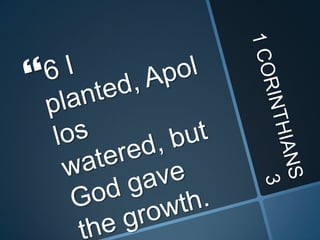 1 CORINTHIANS 36 I planted, Apollos watered, but God gave the growth.
