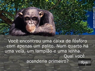 paivabsb-df@uol.com.br 
Você encontrou uma caixa de fósforo 
com apenas um palito. Num quarto há 
uma vela, um lampião e uma lenha. 
Qual você 
acenderia primeiro? RReesspp.. 
 