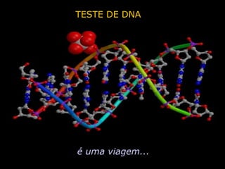 TESTE DE DNA é uma viagem... 