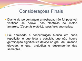 Considerações FinaisDiante da porcentagem amostrada, não foi possível verificar, se houve, nas plântulas do melão amarelo, (Cucumis melo L),  possíveis anomalias;Foi analisado a concentração hídrica em cada repetição, o que leva a concluir, que não houve germinação significativa devido ao grau de umidade elevado, o que, prejudica o desempenho das sementes.