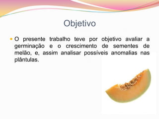 ObjetivoO presente trabalho teve por objetivo avaliar a germinação e o crescimento de sementes de melão, e, assim analisar possíveis anomalias nas plântulas.