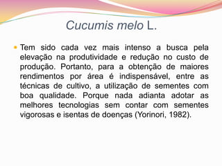Cucumis melo L.Tem sido cada vez mais intenso a busca pela elevação na produtividade e redução no custo de produção. Portanto, para a obtenção de maiores rendimentos por área é indispensável, entre as técnicas de cultivo, a utilização de sementes com boa qualidade. Porque nada adianta adotar as melhores tecnologias sem contar com sementes vigorosas e isentas de doenças (Yorinori, 1982).