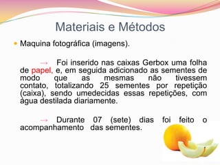 Materiais e MétodosMaquina fotográfica (imagens).            ->   Foi inserido nas caixas Gerbox uma folha de papel, e, em seguida adicionado as sementes de modo que as mesmas não tivessem contato, totalizando 25 sementes por repetição (caixa), sendo umedecidas essas repetições, com água destilada diariamente. -> Durante 07 (sete) dias foi feito o acompanhamento   das sementes.