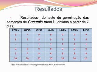 Resultados->     Resultados  do teste de germinação das sementes de Cucumis melo L. obtidos a partir de 7 dias.Tabela 2. Quantidade de Sementes germinadas após 7 dias de experimento.
