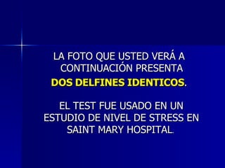 LA FOTO QUE USTED VERÁ A CONTINUACIÓN PRESENTA  DOS DELFINES IDENTICOS . EL TEST FUE USADO EN UN ESTUDIO DE NIVEL DE STRESS EN SAINT MARY HOSPITAL .  