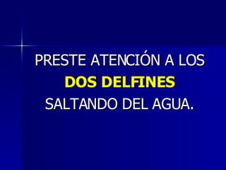 PRESTE ATENCIÓN A LOS DOS DELFINES   SALTANDO DEL AGUA. 