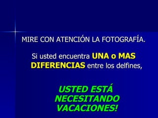 MIRE CON ATENCIÓN LA FOTOGRAFÍA. Si usted encuentra  UNA o MAS DIFERENCIAS  entre los delfines, USTED ESTÁ  NECESITANDO VACACIONES! 