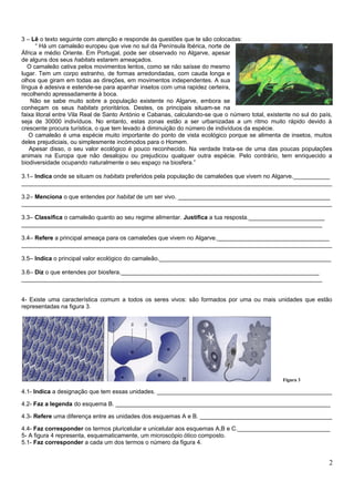 3 – Lê o texto seguinte com atenção e responde às questões que te são colocadas:
“ Há um camaleão europeu que vive no sul da Península Ibérica, norte de
África e médio Oriente. Em Portugal, pode ser observado no Algarve, apesar
de alguns dos seus habitats estarem ameaçados.
O camaleão cativa pelos movimentos lentos, como se não saísse do mesmo
lugar. Tem um corpo estranho, de formas arredondadas, com cauda longa e
olhos que giram em todas as direções, em movimentos independentes. A sua
língua é adesiva e estende-se para apanhar insetos com uma rapidez certeira,
recolhendo apressadamente à boca.
Não se sabe muito sobre a população existente no Algarve, embora se
conheçam os seus habitats prioritários. Destes, os principais situam-se na
faixa litoral entre Vila Real de Santo António e Cabanas, calculando-se que o número total, existente no sul do país,
seja de 30000 indivíduos. No entanto, estas zonas estão a ser urbanizadas a um ritmo muito rápido devido à
crescente procura turística, o que tem levado à diminuição do número de indivíduos da espécie.
O camaleão é uma espécie muito importante do ponto de vista ecológico porque se alimenta de insetos, muitos
deles prejudiciais, ou simplesmente incómodos para o Homem.
Apesar disso, o seu valor ecológico é pouco reconhecido. Na verdade trata-se de uma das poucas populações
animais na Europa que não desalojou ou prejudicou qualquer outra espécie. Pelo contrário, tem enriquecido a
biodiversidade ocupando naturalmente o seu espaço na biosfera.”
3.1– Indica onde se situam os habitats preferidos pela população de camaleões que vivem no Algarve.___________
______________________________________________________________________________________________
3.2– Menciona o que entendes por habitat de um ser vivo. ______________________________________________
______________________________________________________________________________________________
3.3– Classifica o camaleão quanto ao seu regime alimentar. Justifica a tua resposta._______________________
___________________________________________________________________________________________
3.4– Refere a principal ameaça para os camaleões que vivem no Algarve.__________________________________
______________________________________________________________________________________________
3.5– Indica o principal valor ecológico do camaleão.____________________________________________________
3.6– Diz o que entendes por biosfera.____________________________________________________________
___________________________________________________________________________________________
4- Existe uma característica comum a todos os seres vivos: são formados por uma ou mais unidades que estão
representadas na figura 3.
Figura 3
4.1- Indica a designação que tem essas unidades. _____________________________________________________
4.2- Faz a legenda do esquema B. _________________________________________________________________
4.3- Refere uma diferença entre as unidades dos esquemas A e B. ________________________________________
4.4- Faz corresponder os termos pluricelular e unicelular aos esquemas A,B e C.____________________________
5- A figura 4 representa, esquematicamente, um microscópio ótico composto.
5.1- Faz corresponder a cada um dos termos o número da figura 4.
2
 
