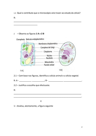 1.3   Qual o contributo que o microscópio veio trazer ao estudo da célula?

R:
____________________________________________________________
_____________________



2     – Observa as figuras 1 A e 2 B




2.1 – Com base nas figuras, identifica a célula animal e a célula vegetal.

R: A - ___________ ___________; B - _____________ ________________.

2.2 – Justifica a escolha que efectuaste.

R:
____________________________________________________________
____________________________________________________________.

                               II

1 – Analisa, atentamente, a figura seguinte




                                                                             2
 