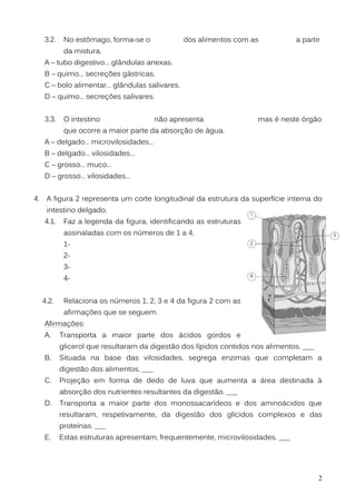 2
3.2. No estômago, forma-se o dos alimentos com as a partir
da mistura.
A – tubo digestivo… glândulas anexas.
B – quimo… secreções gástricas.
C – bolo alimentar… glândulas salivares.
D – quimo… secreções salivares.
3.3. O intestino não apresenta mas é neste órgão
que ocorre a maior parte da absorção de água.
A – delgado… microvilosidades…
B – delgado… vilosidades…
C – grosso… muco…
D – grosso… vilosidades…
4. A figura 2 representa um corte longitudinal da estrutura da superfície interna do
intestino delgado.
4.1. Faz a legenda da figura, identificando as estruturas
assinaladas com os números de 1 a 4.
1-
2-
3-
4-
4.2. Relaciona os números 1, 2, 3 e 4 da figura 2 com as
afirmações que se seguem.
Afirmações:
A. Transporta a maior parte dos ácidos gordos e
glicerol que resultaram da digestão dos lípidos contidos nos alimentos. ___
B. Situada na base das vilosidades, segrega enzimas que completam a
digestão dos alimentos. ___
C. Projeção em forma de dedo de luva que aumenta a área destinada à
absorção dos nutrientes resultantes da digestão. ___
D. Transporta a maior parte dos monossacarídeos e dos aminoácidos que
resultaram, respetivamente, da digestão dos glícidos complexos e das
proteínas. ___
E. Estas estruturas apresentam, frequentemente, microvilosidades. ___
 