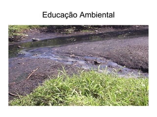Educação Ambiental 
